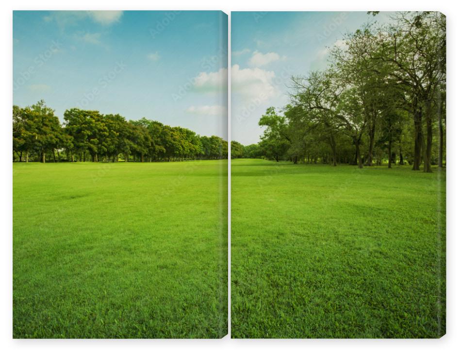 Obraz Dyptyk green grass field in public