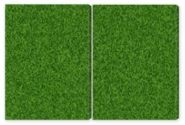 Obraz Dyptyk Green grass seampess texture -