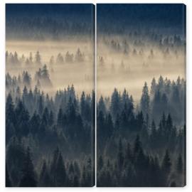 Obraz Dyptyk coniferous forest in foggy