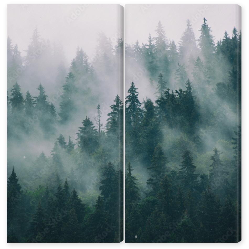 Obraz Dyptyk Misty landscape with fir