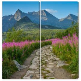 Obraz Dyptyk Hala Gąsienicowa, Tatry, 