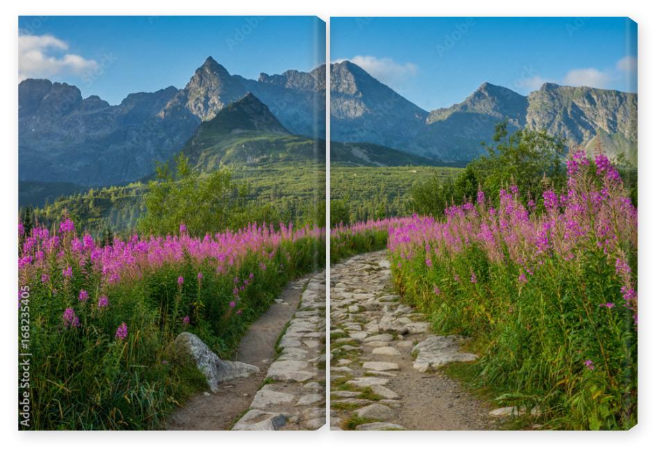 Obraz Dyptyk Hala Gąsienicowa, Tatry, 