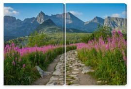 Obraz Dyptyk Hala Gąsienicowa, Tatry, 