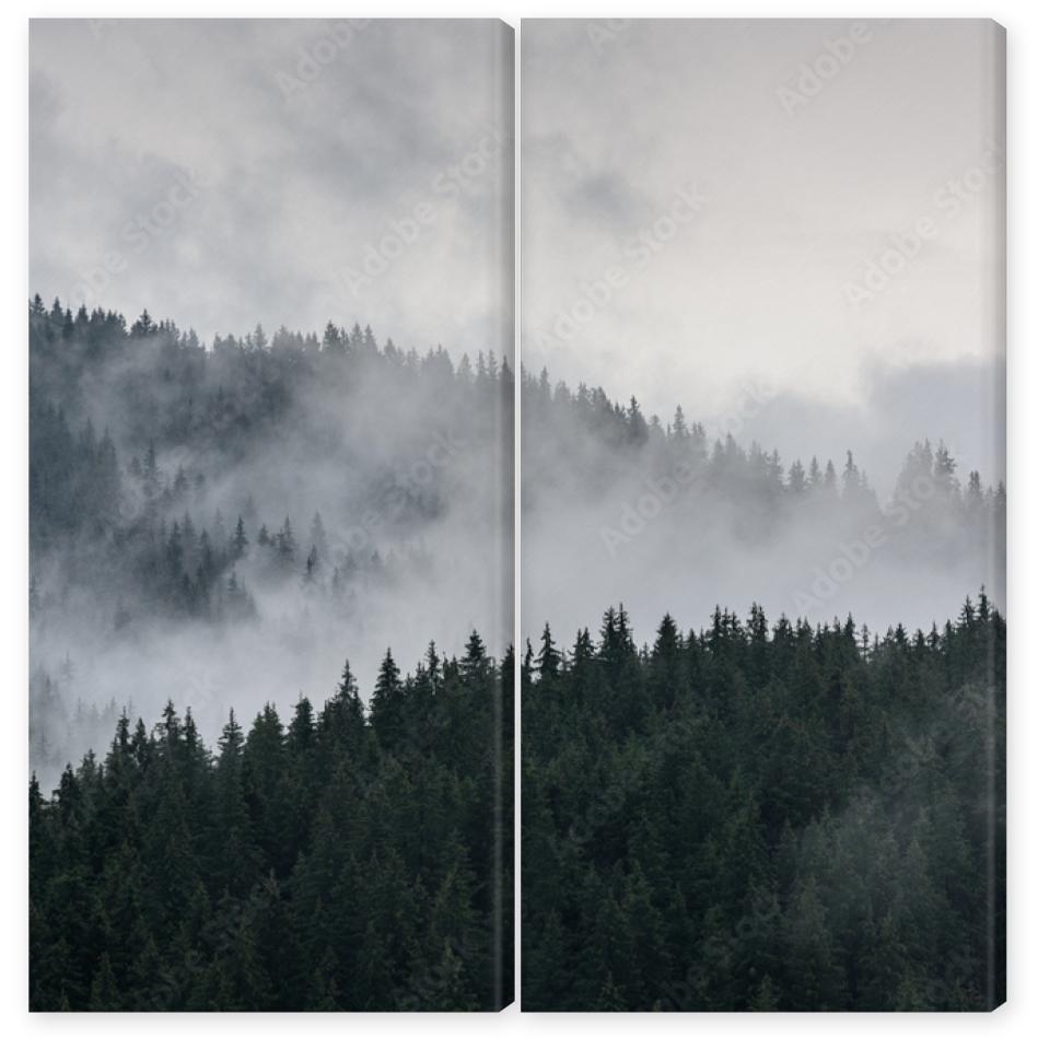 Obraz Dyptyk Foggy Pine Forest. Dense pine