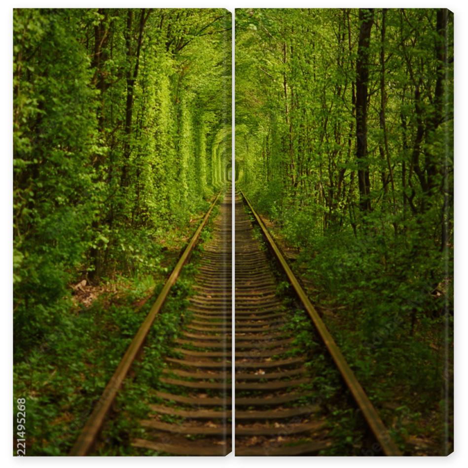 Obraz Dyptyk Natural tunnel formed by trees