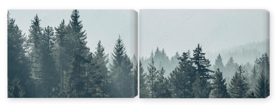 Obraz Dyptyk Pine trees forest stylized