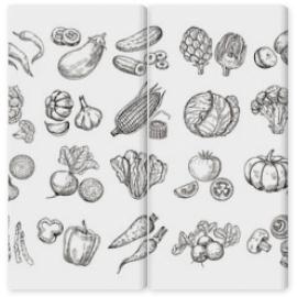 Obraz Dyptyk Sketch vegetables. Vintage