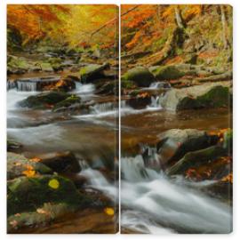 Obraz Dyptyk Autumn in the primeval forest.