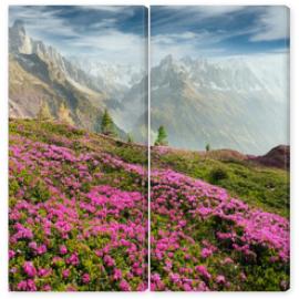 Obraz Dyptyk Alpine rhododendrons on the