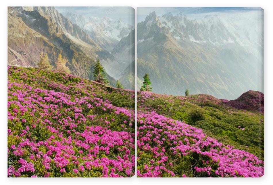 Obraz Dyptyk Alpine rhododendrons on the