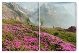 Obraz Dyptyk Alpine rhododendrons on the