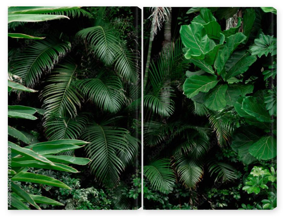 Obraz Dyptyk Tropical Rainforest Landscape