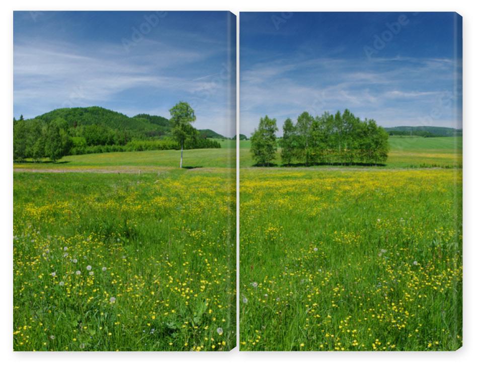 Obraz Dyptyk Fresh flowered meadow