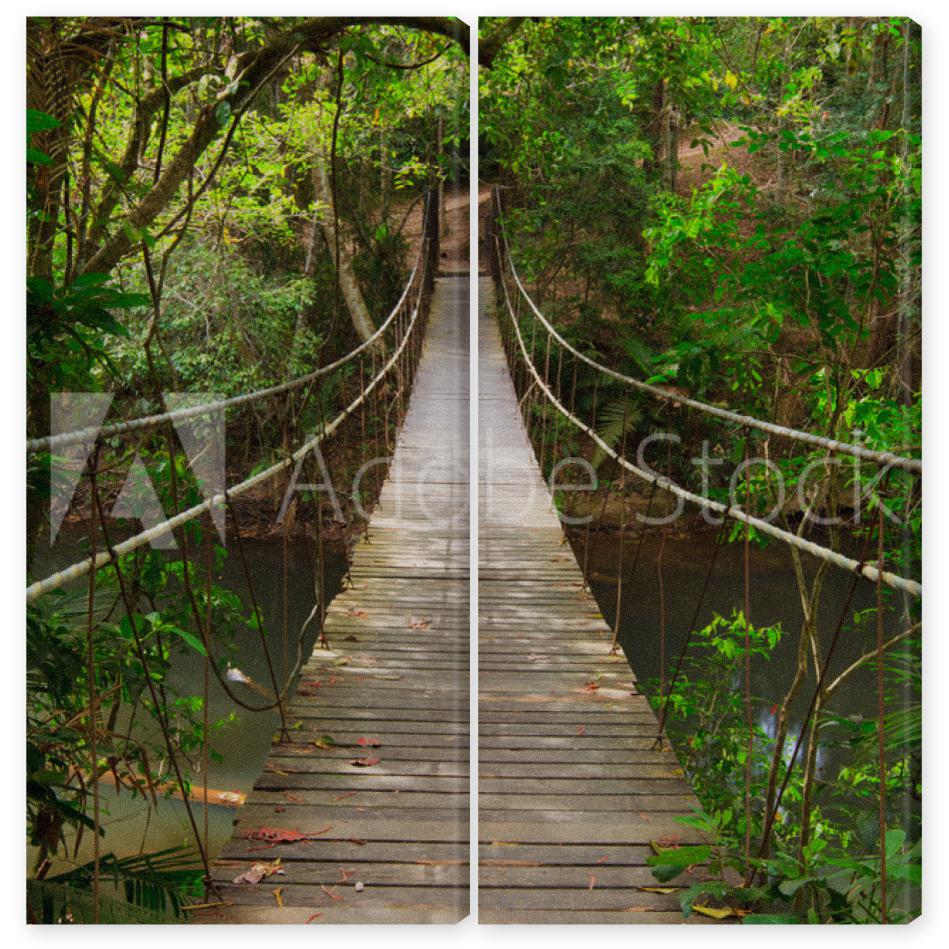 Obraz Dyptyk Bridge to the jungle,Khao Yai