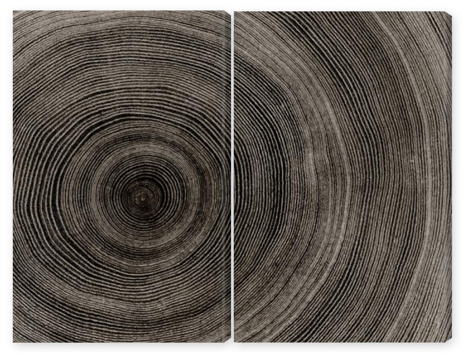 Obraz Dyptyk Warm gray cut wood texture.