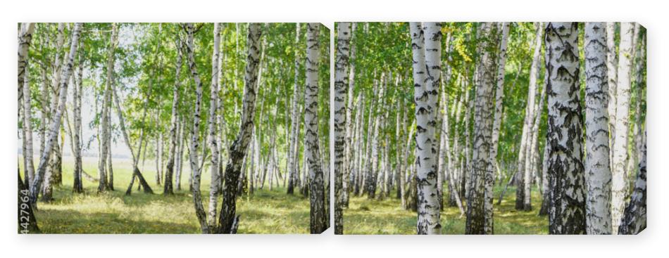 Obraz Dyptyk Green summer birch forest