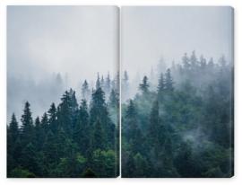 Obraz Dyptyk Misty mountain landscape