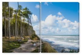 Obraz Dyptyk Forrest by the Baltic sea in