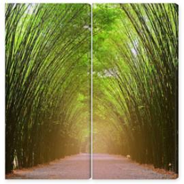 Obraz Dyptyk Landscape the tunnel trees