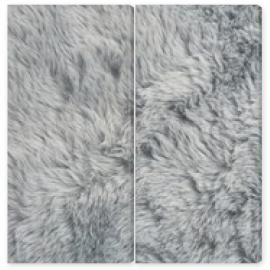 Obraz Dyptyk texture of fur