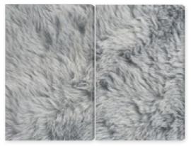 Obraz Dyptyk texture of fur