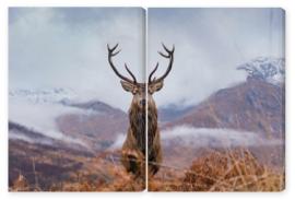 Obraz Dyptyk Monarch Of The Glen