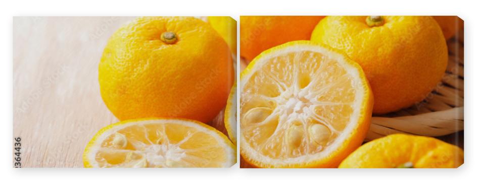 Obraz Dyptyk 柚子　Yuzu. Japanese citron