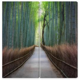 Obraz Dyptyk Bamboo forest in Arashiyama,