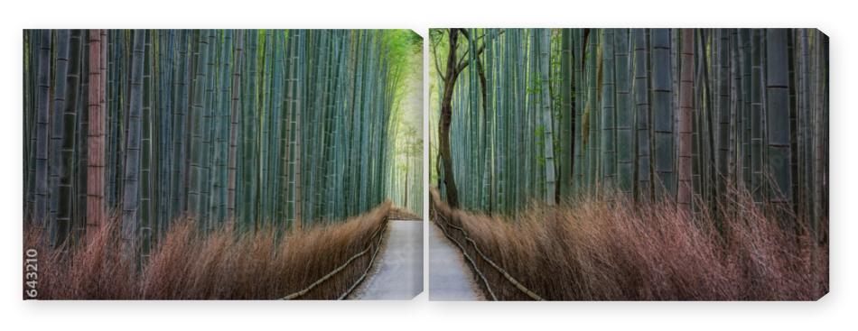 Obraz Dyptyk Bamboo forest in Arashiyama,