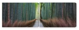 Obraz Dyptyk Bamboo forest in Arashiyama,