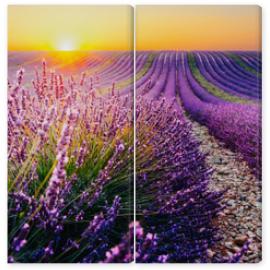 Obraz Dyptyk Blooming lavender field at