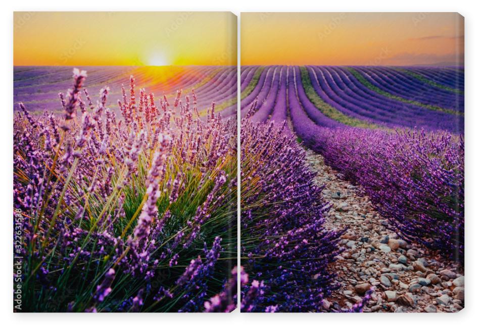 Obraz Dyptyk Blooming lavender field at