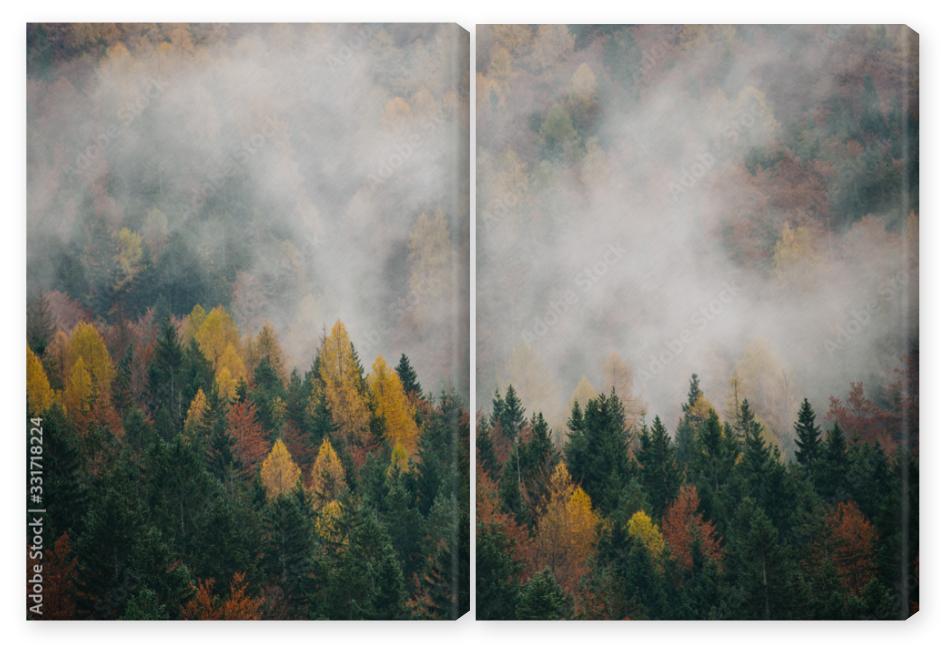 Obraz Dyptyk Trees on mountainside in the