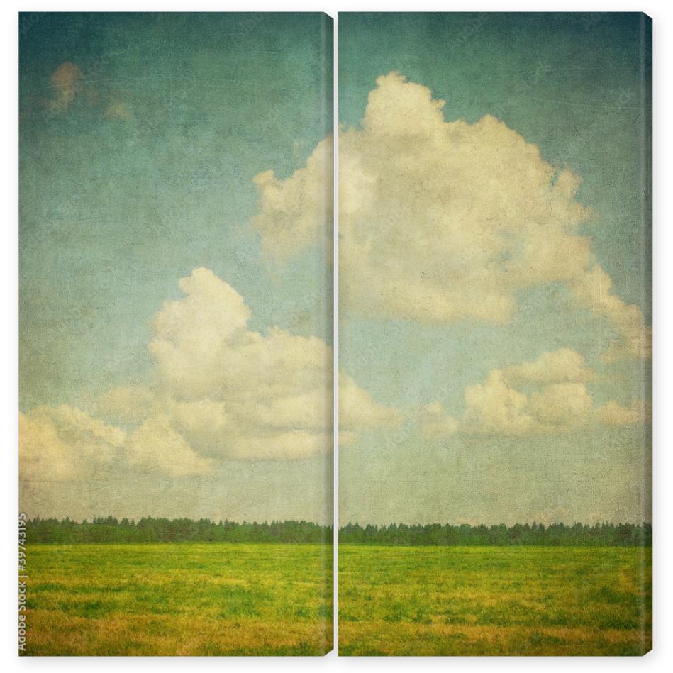 Obraz Dyptyk grunge image of a field