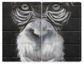 Obraz Dyptyk chimpanzé graffiti mono 0499f