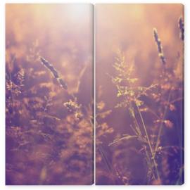 Obraz Dyptyk Blurry vintage meadow