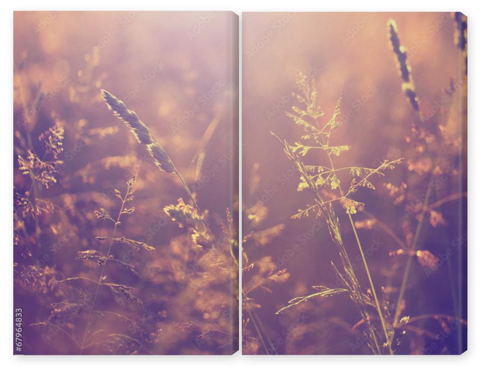 Obraz Dyptyk Blurry vintage meadow