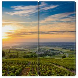 Obraz Dyptyk Sunrise at Beaujolais vineyard