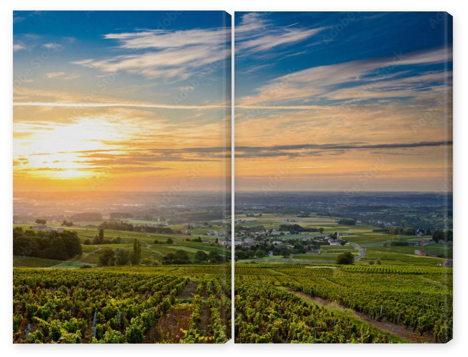 Obraz Dyptyk Sunrise at Beaujolais vineyard