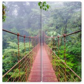 Obraz Dyptyk Bridge in Rainforest - Costa