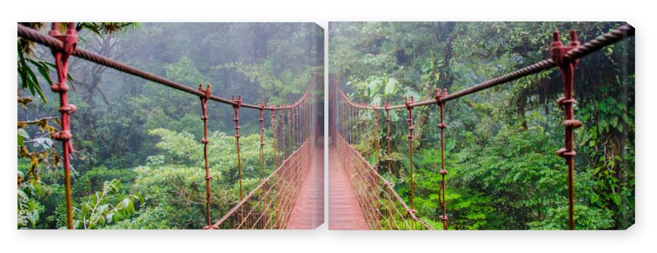 Obraz Dyptyk Bridge in Rainforest - Costa