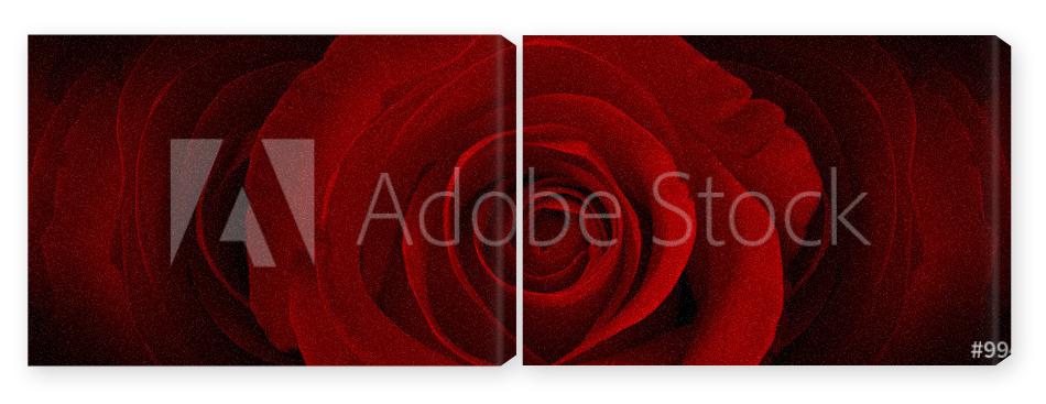 Obraz Dyptyk red roses flower background