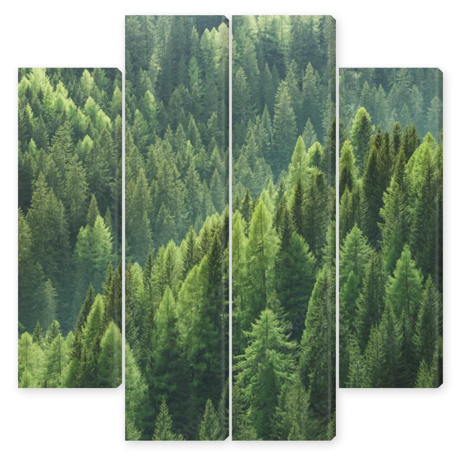 Obraz Kwadryptyk Zdrowe zielone drzewa