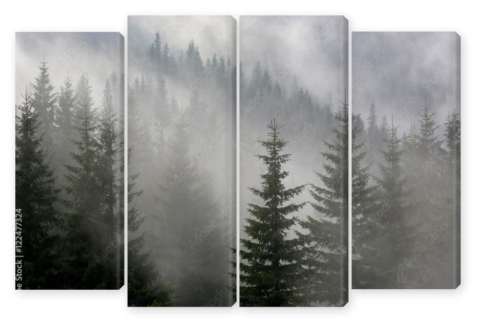 Obraz Kwadryptyk pine forest in mist