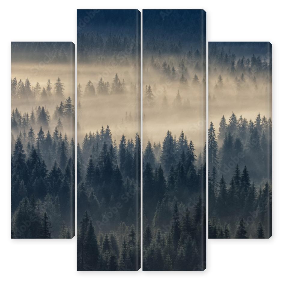 Obraz Kwadryptyk coniferous forest in foggy