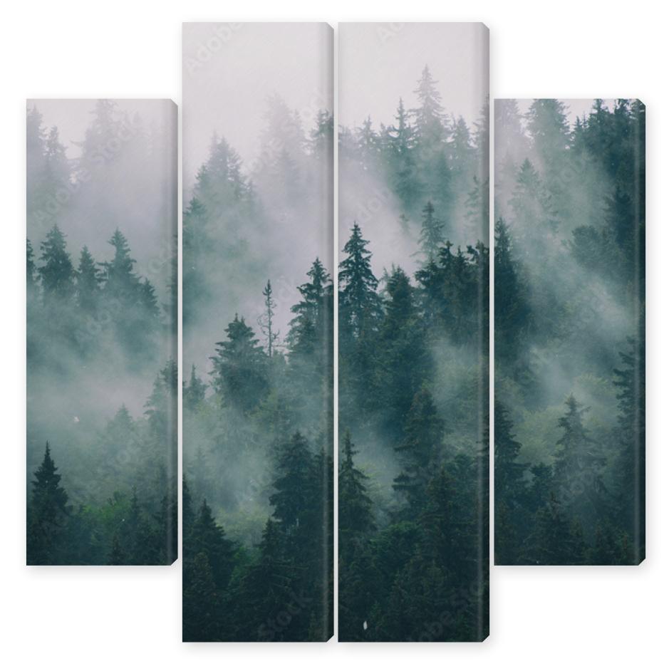 Obraz Kwadryptyk Misty landscape with fir