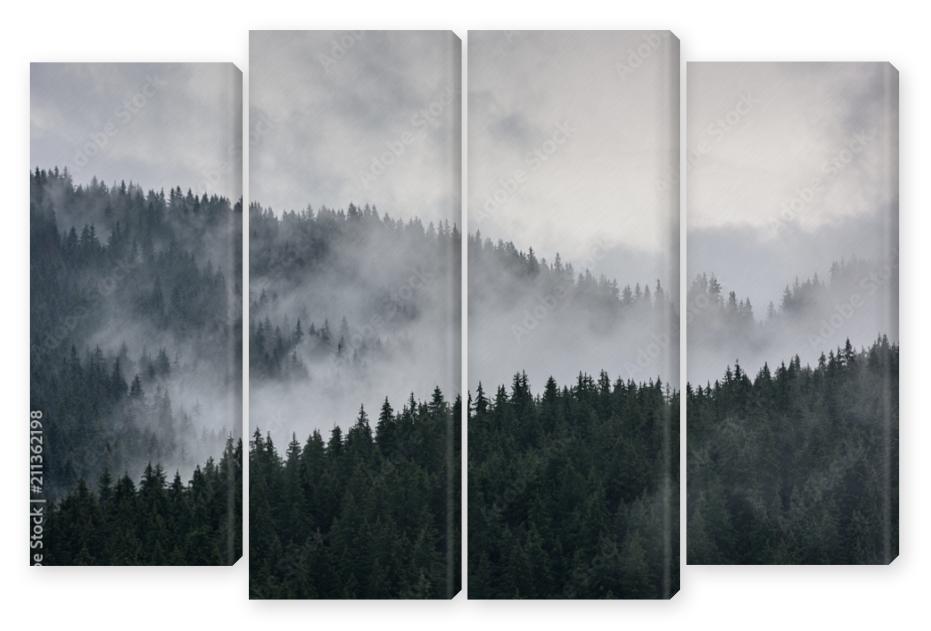 Obraz Kwadryptyk Foggy Pine Forest. Dense pine