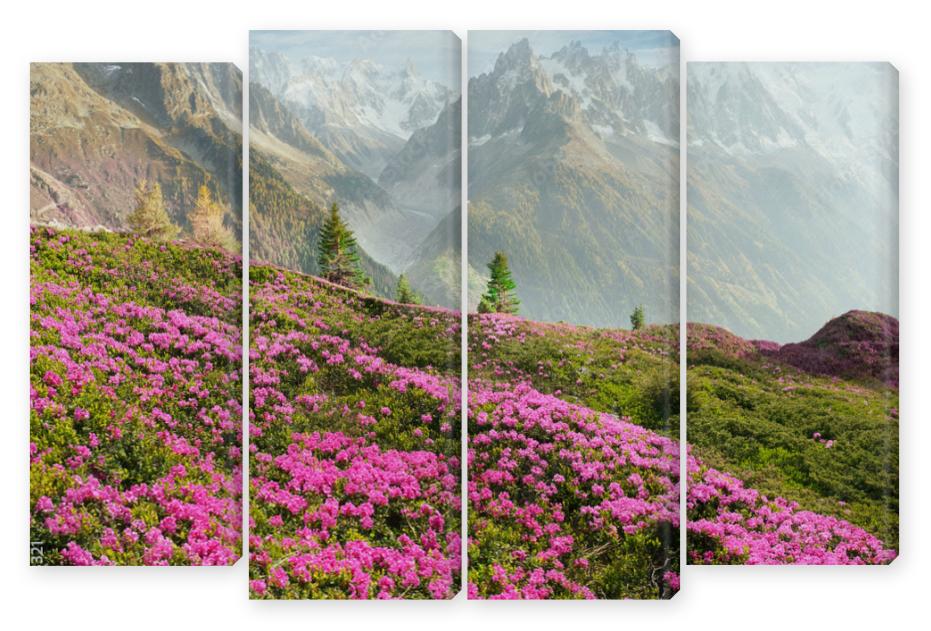 Obraz Kwadryptyk Alpine rhododendrons on the