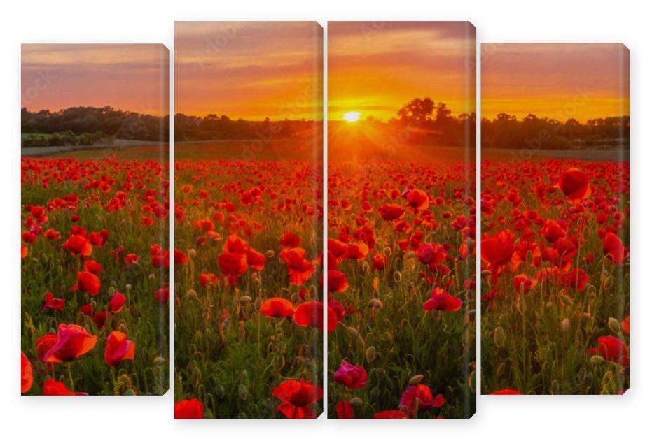 Obraz Kwadryptyk sunset over a meadow of