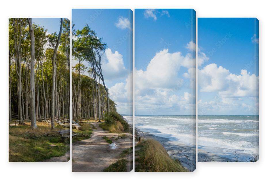 Obraz Kwadryptyk Forrest by the Baltic sea in
